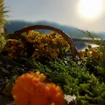 Izabella Resort